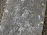image of grave number 33444